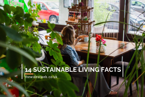 The 14 Most Surprising Facts about Sustainable Living you Never Kne