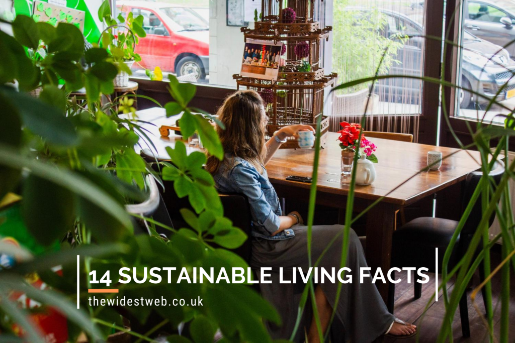 The 14 Most Surprising Facts about Sustainable Living you Never Knew